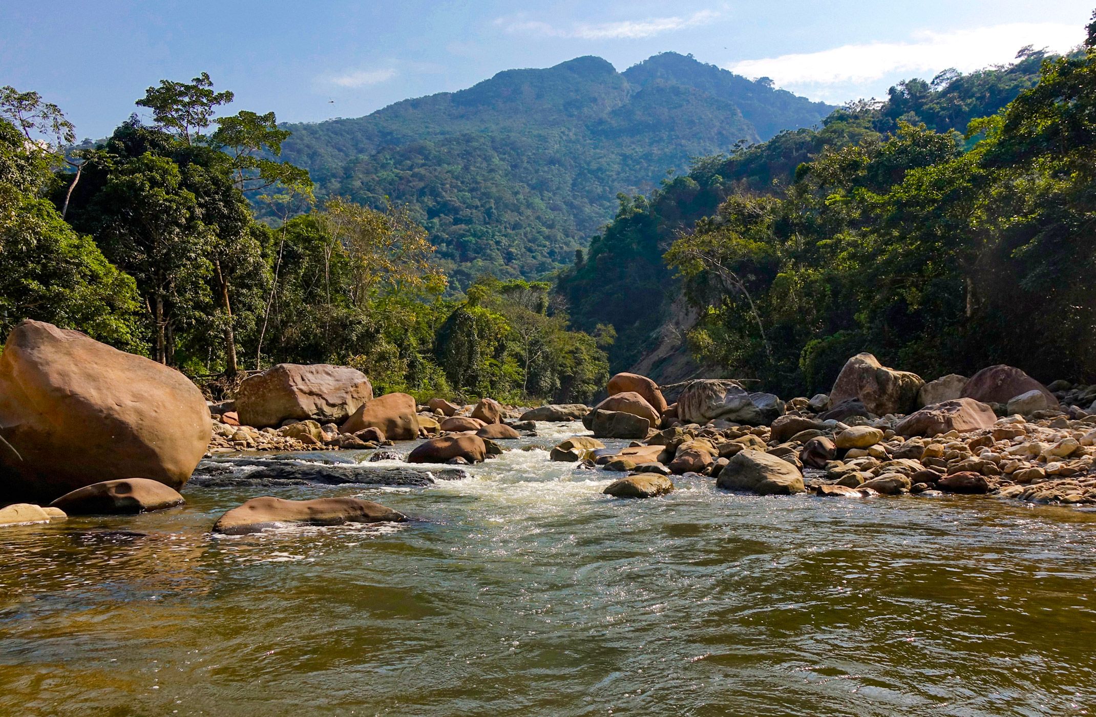 Tarapoto